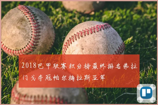 2018巴甲联赛积分榜最终排名弗拉门戈夺冠帕尔梅拉斯亚军