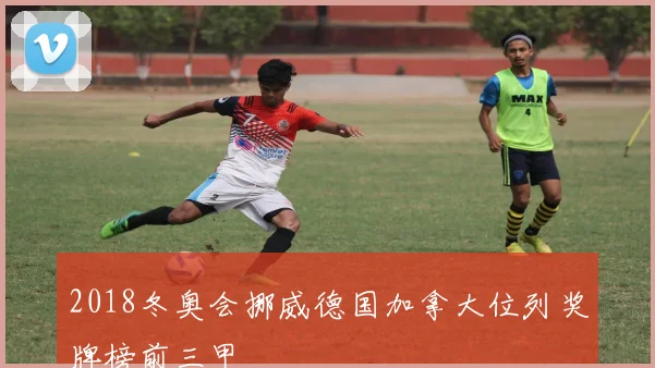 2018冬奥会挪威德国加拿大位列奖牌榜前三甲