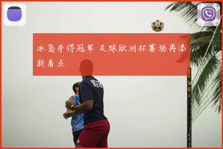 冰岛夺得冠军 足球欧洲杯赛场再添新看点