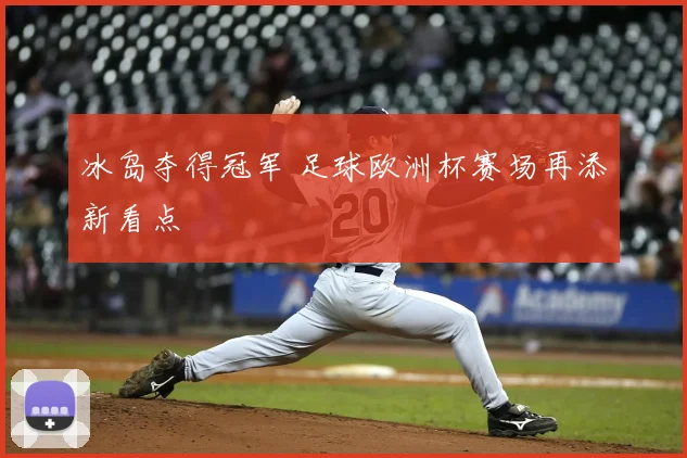 冰岛夺得冠军 足球欧洲杯赛场再添新看点